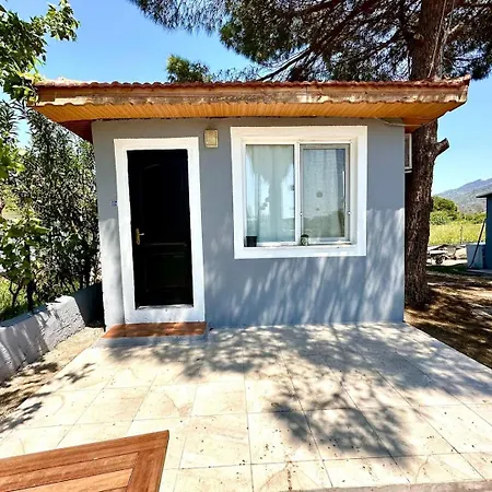 Apartment Castabus Homes